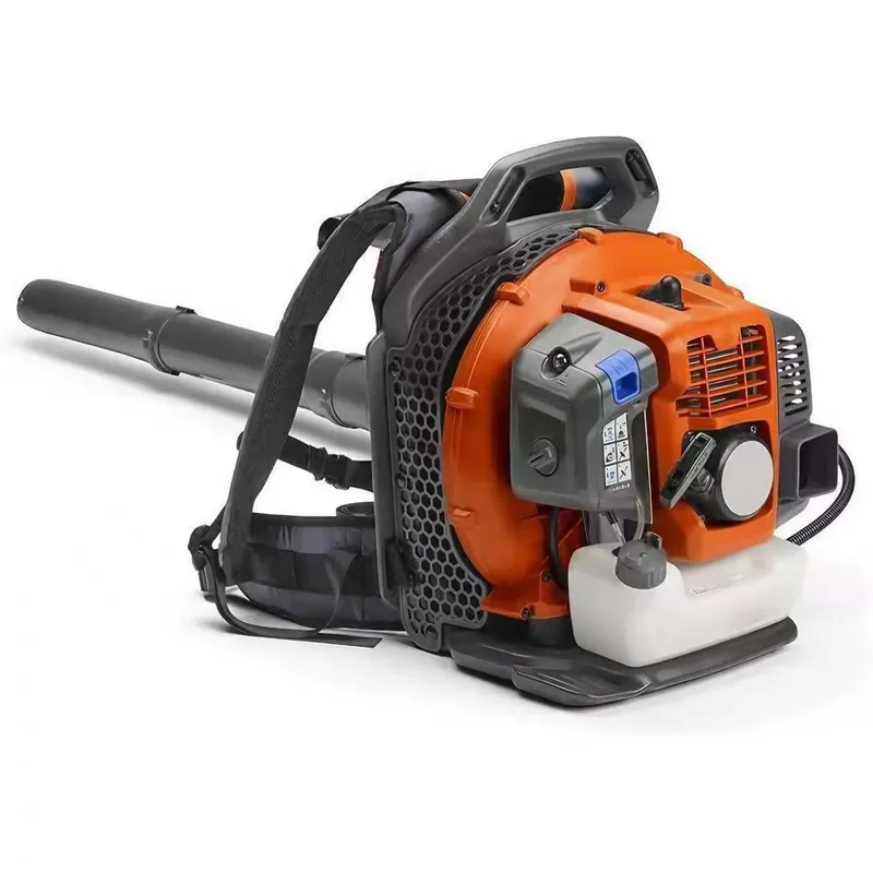 Portable Backpack Blower for G - огляд і ціна Gardening Tools Price