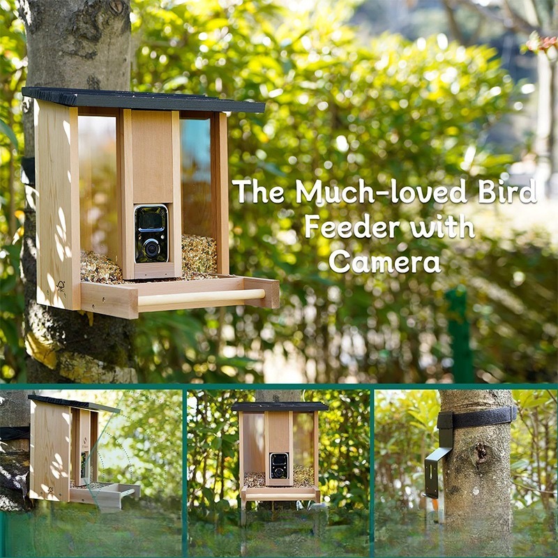 AI intelligent bird feeder wit - огляд і ціна Gardening Tools Definition