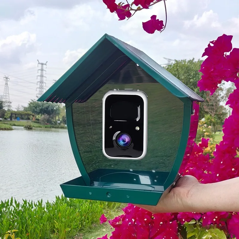 AI intelligent bird feeder wit - огляд і ціна Gardening Tools Definition