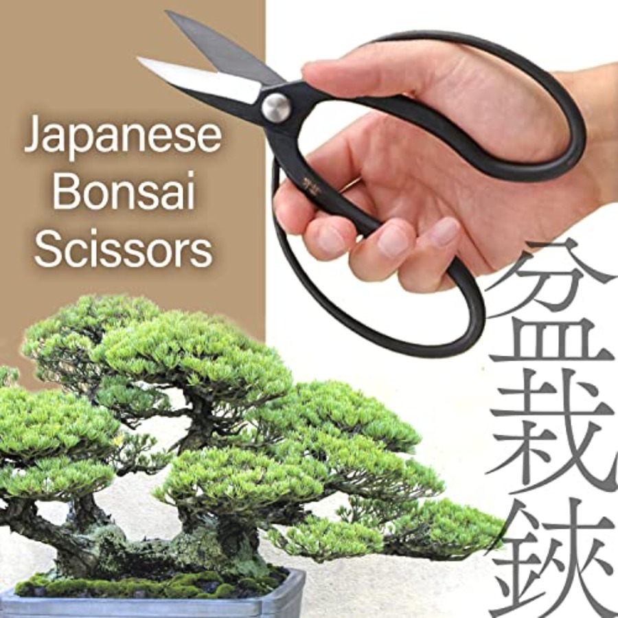 Japanese Suiryu Bonsai Scissor - огляд і ціна Gardening Tools Made In Japan