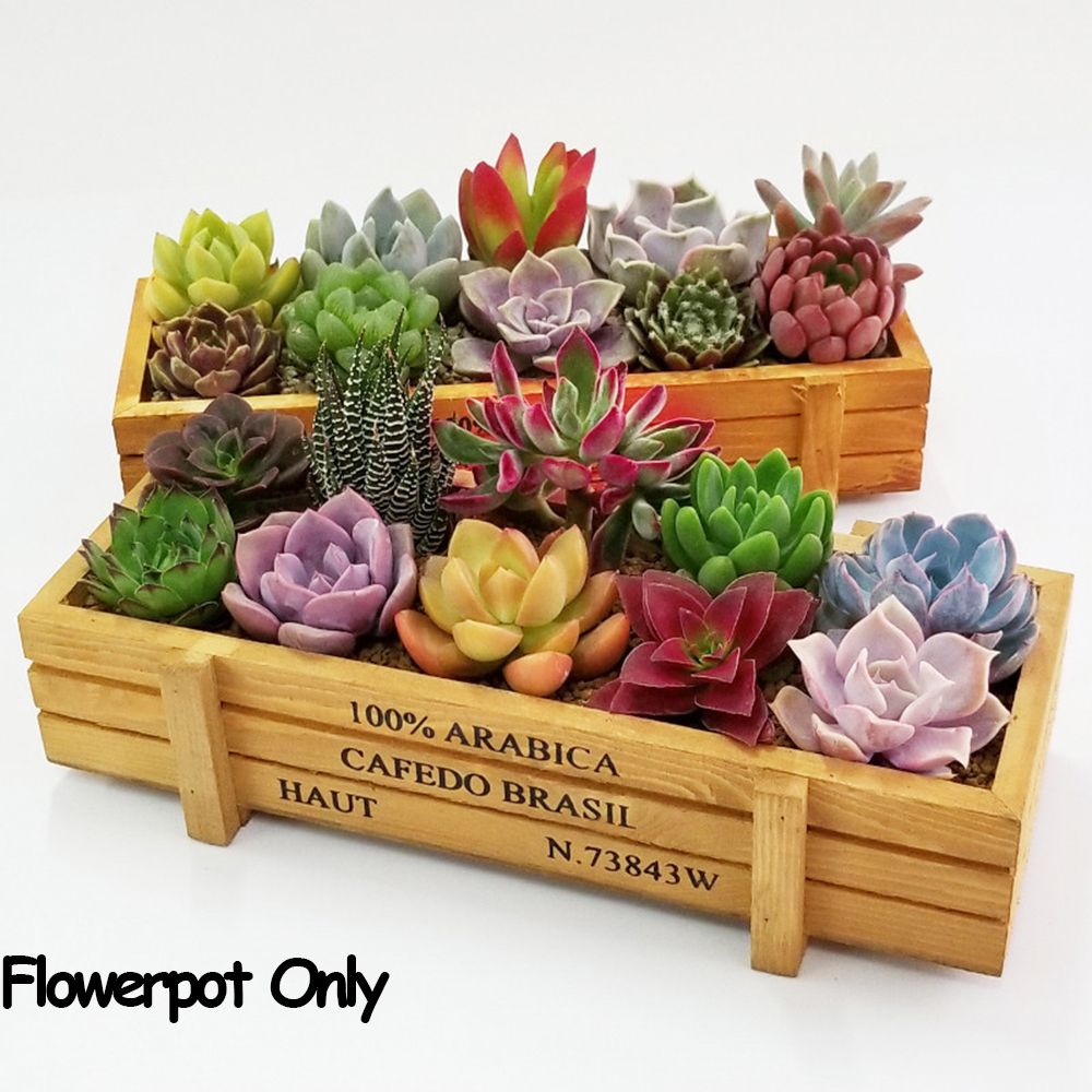 1 PC Tools Garden Decor Trough - огляд і ціна Gardening Tools Organiser
