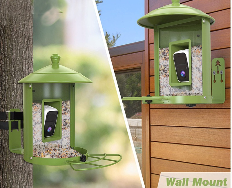 AI intelligent bird feeder wit - огляд і ціна Gardening Tools Definition