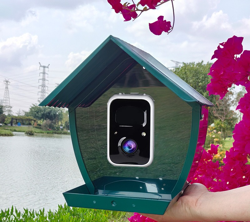 AI intelligent bird feeder wit - огляд і ціна Gardening Tools Definition
