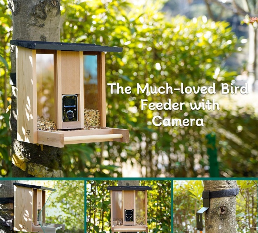 AI intelligent bird feeder wit - огляд і ціна Gardening Tools Definition