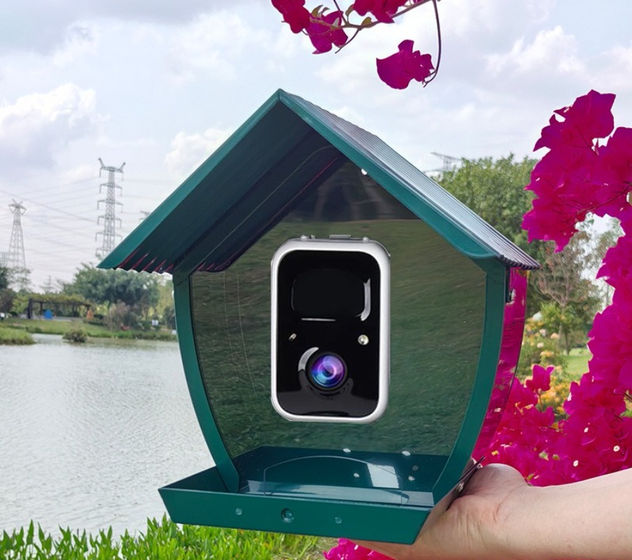 AI intelligent bird feeder wit - огляд і ціна Gardening Tools Definition